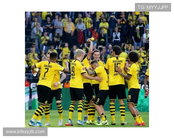 德甲国内各球队排名及赛季亮点分析